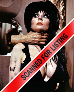 ELVIRA MISTRESS OF THE DARK CASSANDRA PETERSON 8x10 PHOTO #1487 - Picture 1 of 1