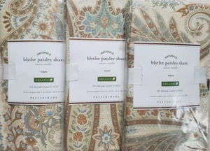 3 POTTERY BARN Blythe Paisley EURO Shams NEW ~ MULTI - Picture 1 of 2