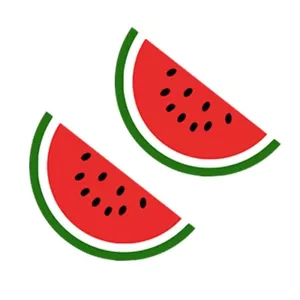 Set of 2 x Watermelon Iron on Transfer for fabric free Palestine - Picture 1 of 2