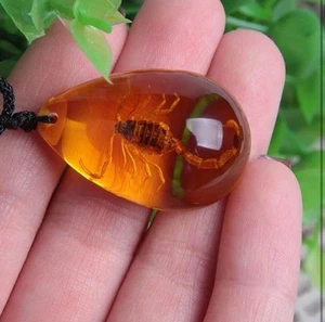 Colgante Collar Escorpión Ámbar - Oro🦂 - Imagen 1 de 3