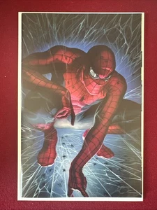 Alex Ross SDCC 2025 Amazing Spider-Man-#1 MCFARLANE HOMAGE VIRGIN VARIANT Cover - Picture 1 of 2