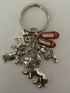 ❤️ Wizard of Oz Antique Silver Colour Key ring lovely present in gift bag - Picture 1 of 1