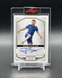 Leaf Continuum 2022 Jorginho Auto 30/30