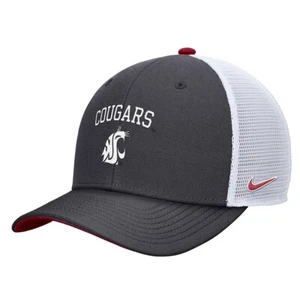 Nike Washington State Cougars Youth Dri-Fit Wool Rise Hat - Anthracite - Adjust - Picture 1 of 1