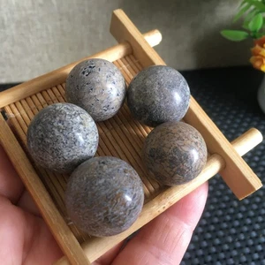 57g 5pcs Natural polished dinosaur bone crystal ball specimen pd2791 - Picture 1 of 8