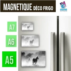 A5 - A6 - A7 - Magnetico Decorazione - Cavallo Cavalli Poulain Cavalla Animali - Foto 1 di 7