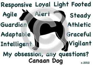 Canaan Dog My Obsession, Any Questions? T-shirt Choices - Picture 1 of 8