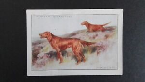 J. PLAYERS  1924,  DOGS, ( SCENIC  BACKGROUND )  NO 9 ,OF  12. ( SEE  DETAILS ).