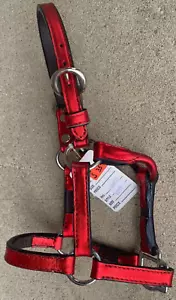 Congress Leder S Miniatur Pferd Größe metallic rot Western Showhalfter hergestellt in den USA - Bild 1 von 2