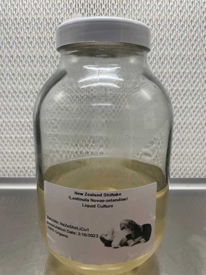Nuova Zelanda Shiitake (Lentinula Novae-Zeland) coltura liquida 10 ml (100% biologico) - Immagine 1 di 1