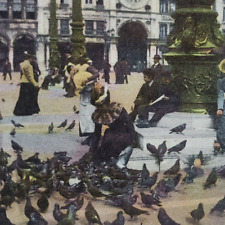 St Mark's Square Venice Italy Stereoview c1905 Feeding Pigeons San Marco IT C431