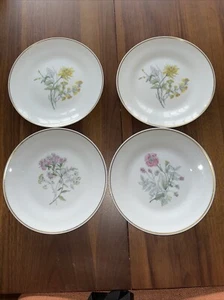 Set Of 4 Richard Ginori 8-inch Salad Plates Primavera, Beautiful - Picture 1 of 8
