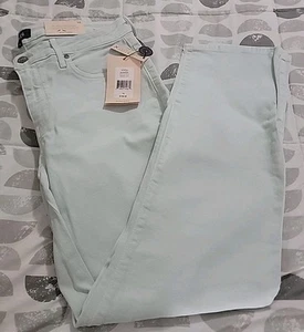 NYDJ Sheri Slim Jeans Size 10 Mint Green Desert Dew Stretch Denim NWT - Picture 1 of 6