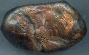 Gogebic Iron Range Black River Glacial Beach Pebble Jasper Hematite Quartz 1.2Lb - Picture 1 of 10