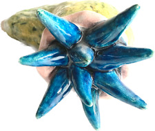 Vintage Collectible Lisa Conway Ceramic Sea Urchin Snail