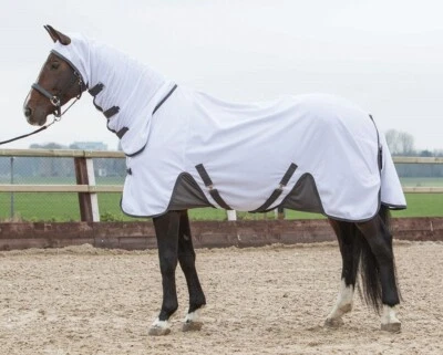 % Harry´s Horse Fliegendecke Flyprotection Rug Mesh weiß- UVP €129,95  % - Bild 1 von 2