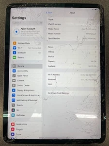 Apple iPad Pro 1st Gen 64GB, Wi-Fi, 11 in-Space Gray -Cracked - Afbeelding 1 van 2