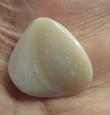 12.65ct 21x24x4mm Solid Australian Coober Pedy  Clam Shell Opal Cabochon OPAL#80 - Image 1 of 4