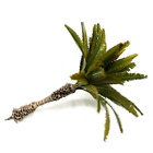 Palme für Dschungel 14 cm - 1x Miniatur Pflanze Modellbau & Diorama Landschaft