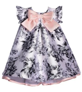 NEW Bonnie Jean Baby Girls Size 0M-3M "GRAY TOILE" Trapeze Pink Bow Dress NWT - Picture 1 of 4