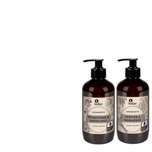 2tlg. today Aromaseife Handseife Pfingstrose & Sandelholz & Pfeffer & Rhabarber - Bild 1 von 1