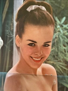 JUDI MONTEREY, Miss January, 1963, Vintage Centerfold only, Adult Content - Picture 1 of 2
