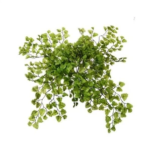 Regency International Maiden Hair Fern Plant, 17" - Picture 1 of 1