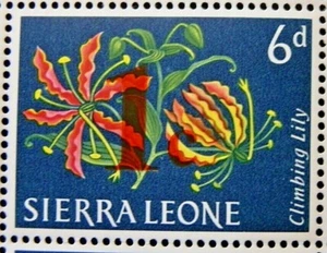 SIERRA LEONE 1964 SG313 1d. SURCHARGE ON 6d. FLOWERS -  CLIMBING LILY  -  MNH - Picture 1 of 1