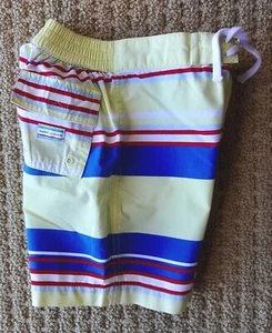 Pantalones cortos de surf retro a rayas con salpicaduras junto al mar JANIE AND JACK 12-18 M - Imagen 1 de 7