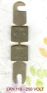 BUSSMAN NEW LKN 110 RENEWAL FUSE LINKS 110 AMP 250 VOLT - Imagen 1 de 1