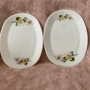 Two JAJ Pyrex Oval Serving Platter Dish Autumn Glory Pattern - Picture 1 of 18