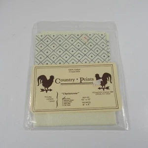 Vintage Country Prints 15" x 15" Aida Charlestowne Fed Blue 14Count Cross Stitch - Picture 1 of 4