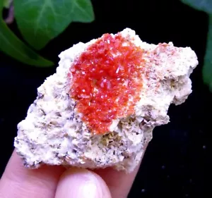 44mm Cristallo Vanadinite Rosso Arancione Mibladen Marocco 2050 - Foto 1 di 1