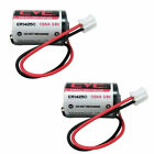 2 Pack EVE ER14250 CELL 3.6V LS14250 1/2 AA Size 1200mAh Li-on Battery with Plug