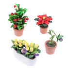1:12 Dollhouse Miniature Fortune Fruit Potted Plant Tulip Flowerpot Garden Decor