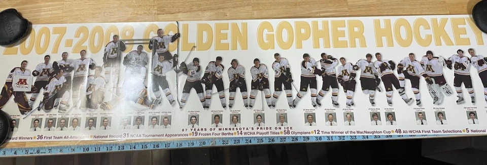 Póster de hockey Minnesota Gopher 2007-2008 Kyle Okposo Mike Hoeffel Foto 1 de 1
