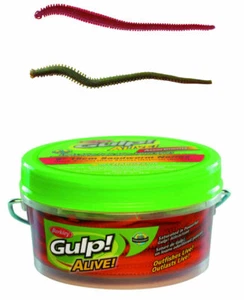 Berkley Gulp! Alive Nereis, Seeringelwurm in 2 Farben, 15cm, 28 Stück im Becher - Bild 1 von 5