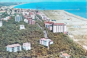 Cartolina - Lido degli Estensi ( Ferrara ) - 1964 - Picture 1 of 2