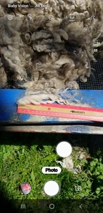 White LINCOLN Raw Fleece - Picture 1 of 5