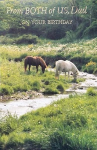 Nice Vintage DAD BIRTHDAY Card FROM BOTH OF US, Horses by American Greetings +✉ - Picture 1 of 6