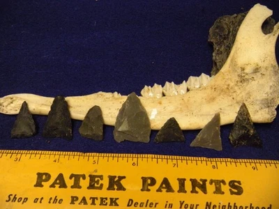 7 - MADISON LEVANNA FORT ANTIGUO - HENDERSONVILLE N CAROLINA - FRANK ALEXANDER Foto 1 de 4