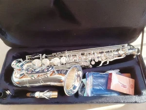 New Sax Alto Saxophone Eb Silver Plated E-Flat Instrument professional With Case - Picture 1 of 6