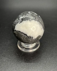 Polished Crinoid Fossil Crystal Sphere Fossilized Crinoid Ball 1.378” - Picture 1 of 12