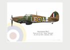 Warhead Illustrated Hurricane Mk.I. No.242 Sq RAF Willie McKnight Aircraft Print