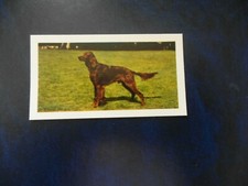 Great Britain 1961 Horniman's Tea "Dogs", tea card, No.10   'Irish setter'.