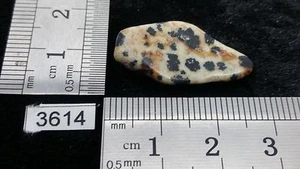 JASPE DALMATIEN pierre roulée - mineraux lithotherapie reiki collection - Imagen 1 de 1
