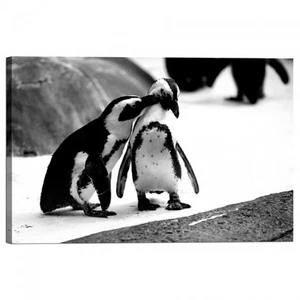 Quadro Stampa su Tela con Telaio Pinguini - Picture 1 of 1