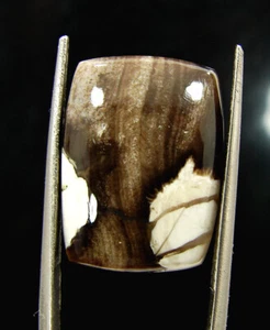 13.70 Ct Natural Peanut Wood Jasper Loose Gemstone Cabochon Wire Wrap - 60696 - Picture 1 of 5