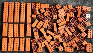 LEGO 200g Brown Bricks Building Blocks Pieces Bundle 2x4 2x3 2x2 3001 3003 3002 - Picture 1 of 7