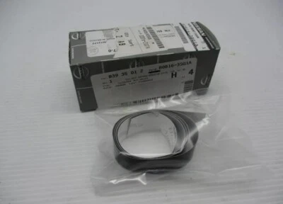 Nuevo OEM 2013-2019 Nissan Sentra puerta delantera derecha cinta ventana negra 80816-3SG1A Foto 1 de 4